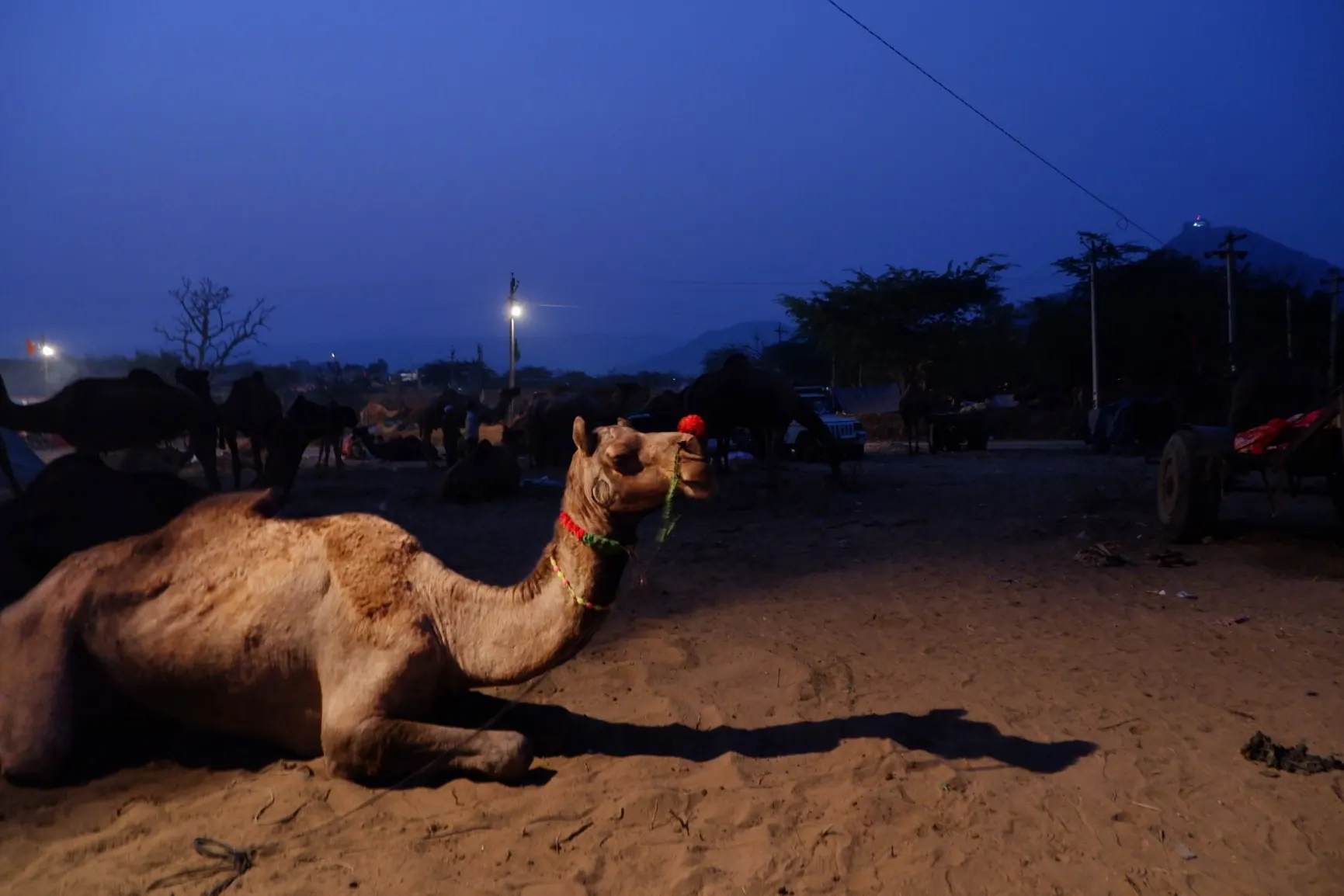 Life in Pushkar photograph 12